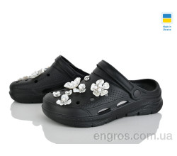 Кроксы Golden Lion